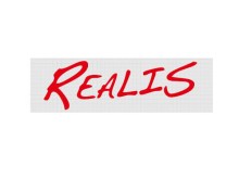 DUO Realis Logo Cut Out Sticker